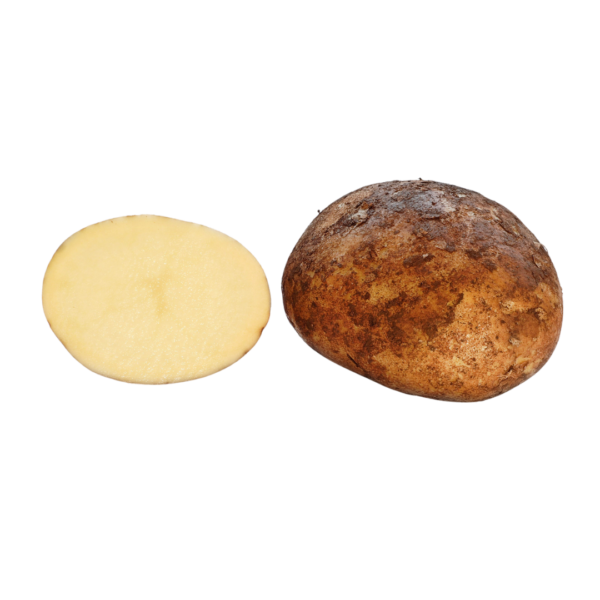 Potato(ഉരുളങ്കിഴങ്ങു)