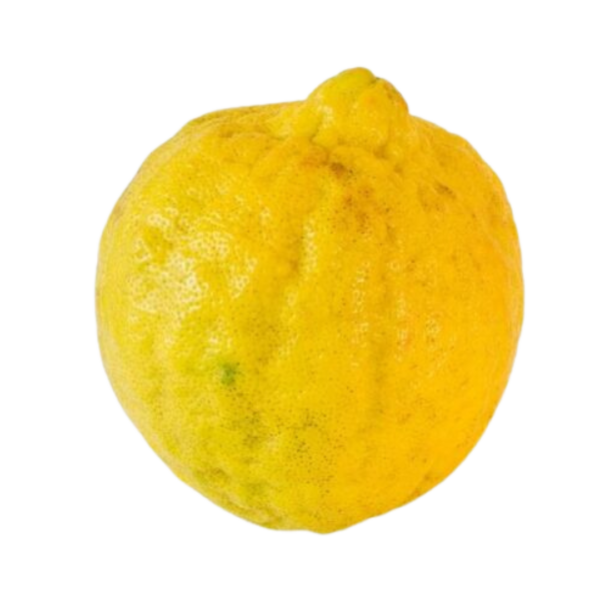 lemongrass(കറിനാരാങ്ങാ)