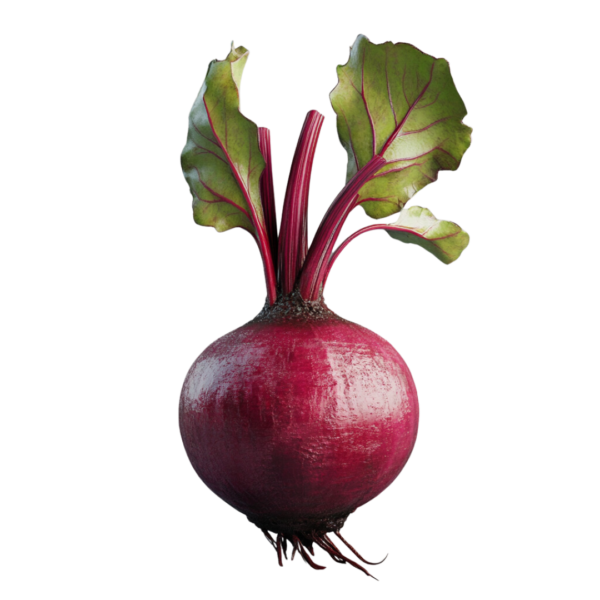 Beetroot