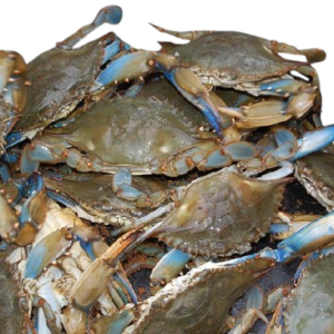 crab